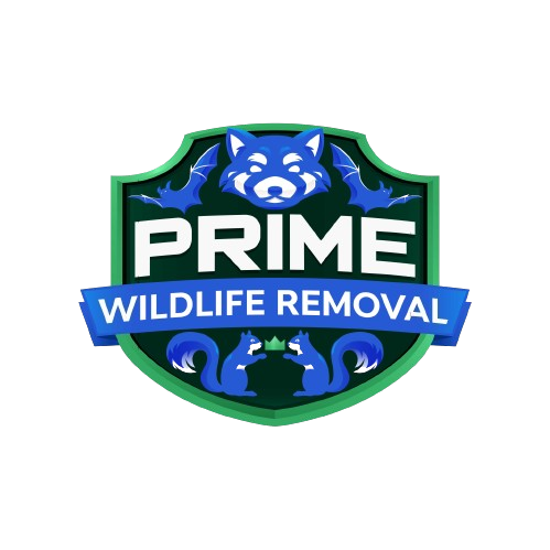 Wildlife Removal Chesaning